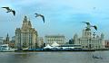 three graces